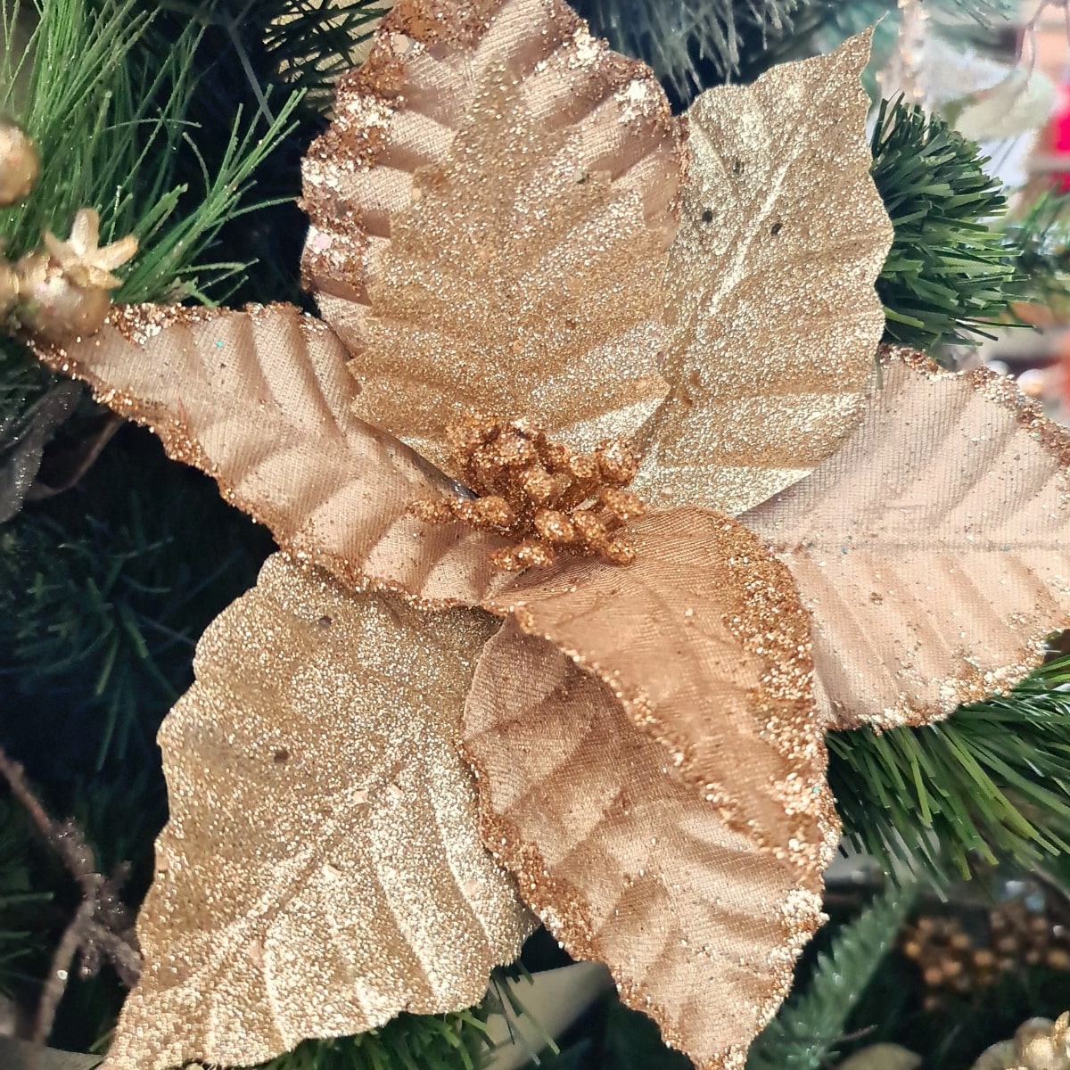 Yule Poinsettia Stem - Champagne