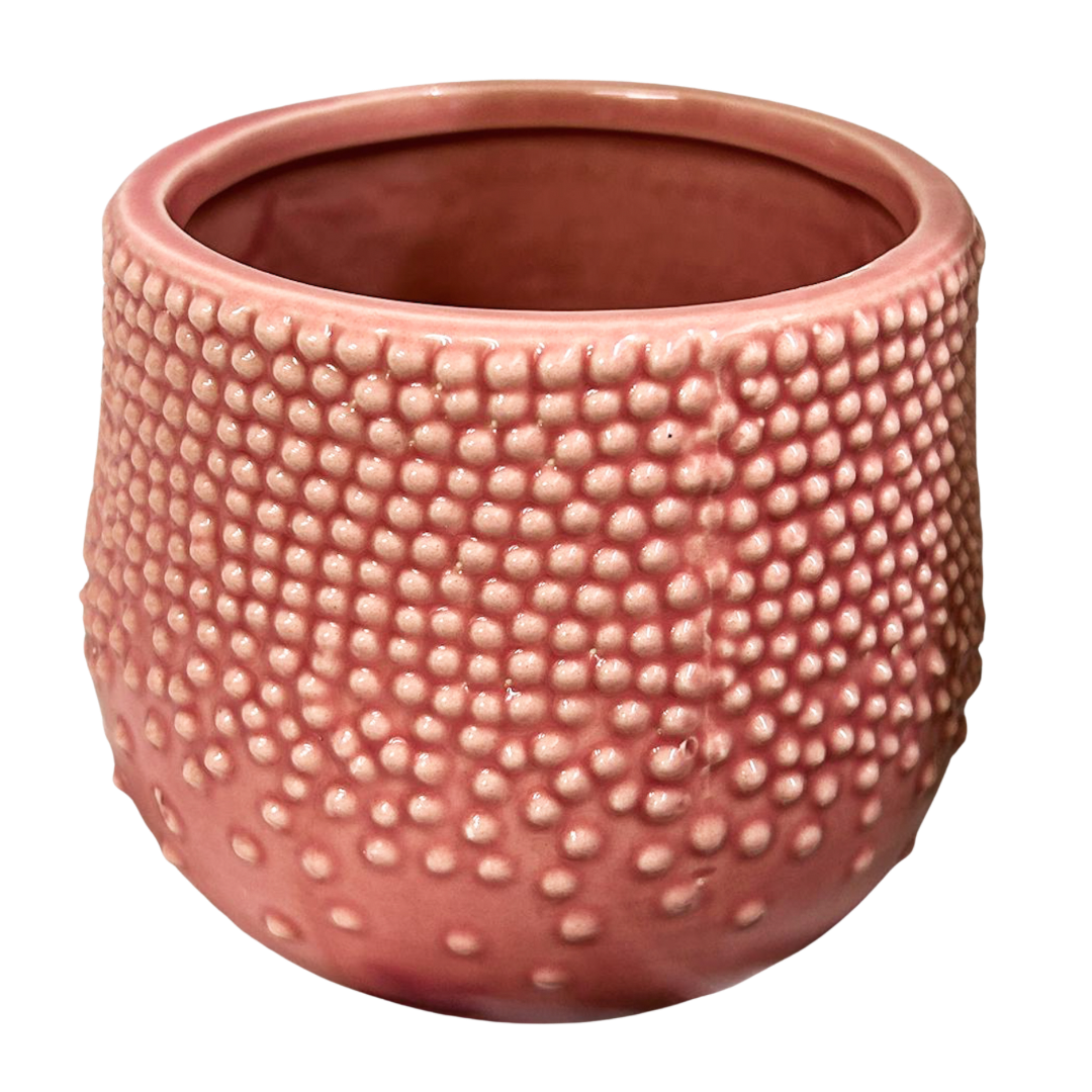 Spotted Pot - Pink